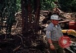 Image of workers Rapid City South Dakota USA, 1972, second 62 stock footage video 65675052531