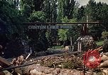 Image of Canyon Lake Park Rapid City South Dakota USA, 1972, second 14 stock footage video 65675052532