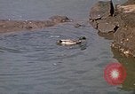 Image of Canyon Lake Park Rapid City South Dakota USA, 1972, second 62 stock footage video 65675052532