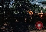 Image of tractor Rapid City South Dakota USA, 1972, second 51 stock footage video 65675052539