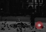 Image of tame pigeons Philadelphia Pennsylvania USA, 1918, second 3 stock footage video 65675052552