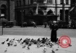 Image of tame pigeons Philadelphia Pennsylvania USA, 1918, second 5 stock footage video 65675052552