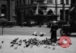 Image of tame pigeons Philadelphia Pennsylvania USA, 1918, second 6 stock footage video 65675052552