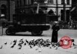Image of tame pigeons Philadelphia Pennsylvania USA, 1918, second 7 stock footage video 65675052552