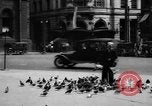 Image of tame pigeons Philadelphia Pennsylvania USA, 1918, second 8 stock footage video 65675052552