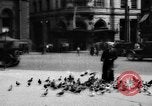 Image of tame pigeons Philadelphia Pennsylvania USA, 1918, second 9 stock footage video 65675052552