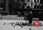 Image of tame pigeons Philadelphia Pennsylvania USA, 1918, second 10 stock footage video 65675052552