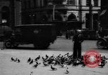 Image of tame pigeons Philadelphia Pennsylvania USA, 1918, second 11 stock footage video 65675052552