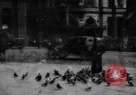Image of tame pigeons Philadelphia Pennsylvania USA, 1918, second 12 stock footage video 65675052552