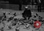 Image of tame pigeons Philadelphia Pennsylvania USA, 1918, second 13 stock footage video 65675052552