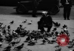 Image of tame pigeons Philadelphia Pennsylvania USA, 1918, second 14 stock footage video 65675052552