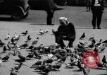 Image of tame pigeons Philadelphia Pennsylvania USA, 1918, second 15 stock footage video 65675052552
