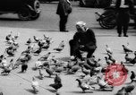 Image of tame pigeons Philadelphia Pennsylvania USA, 1918, second 17 stock footage video 65675052552