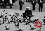 Image of tame pigeons Philadelphia Pennsylvania USA, 1918, second 20 stock footage video 65675052552