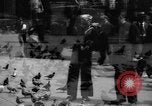 Image of tame pigeons Philadelphia Pennsylvania USA, 1918, second 23 stock footage video 65675052552