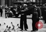 Image of tame pigeons Philadelphia Pennsylvania USA, 1918, second 27 stock footage video 65675052552