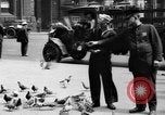 Image of tame pigeons Philadelphia Pennsylvania USA, 1918, second 30 stock footage video 65675052552