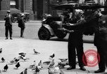 Image of tame pigeons Philadelphia Pennsylvania USA, 1918, second 32 stock footage video 65675052552