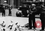 Image of tame pigeons Philadelphia Pennsylvania USA, 1918, second 33 stock footage video 65675052552