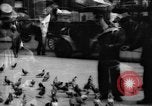 Image of tame pigeons Philadelphia Pennsylvania USA, 1918, second 36 stock footage video 65675052552