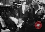Image of tame pigeons Philadelphia Pennsylvania USA, 1918, second 46 stock footage video 65675052552