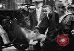 Image of tame pigeons Philadelphia Pennsylvania USA, 1918, second 47 stock footage video 65675052552