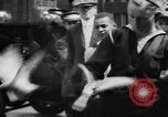 Image of tame pigeons Philadelphia Pennsylvania USA, 1918, second 48 stock footage video 65675052552