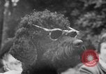 Image défilé de modèle France, 1955, de la seconde 49 séquences d'archives historiques vidéo 65675052567
