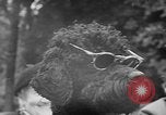 Image défilé de modèle France, 1955, de la seconde 50 séquences d'archives historiques vidéo 65675052567