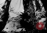 Immagine di Americano africano di cotone di prelievo United States USA, 1930, secondo 3 filmato di repertorio 65675052586