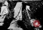 Immagine di Americano africano di cotone di prelievo United States USA, 1930, secondo 7 filmato di repertorio 65675052586