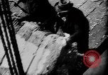 Immagine di Americano africano di cotone di prelievo United States USA, 1930, secondo 27 filmato di repertorio 65675052586