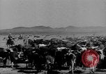 Immagine di I cowboys sul ranch United States USA, 1940, secondo 10 filmato di repertorio 65675052587
