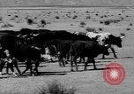 Immagine di I cowboys sul ranch United States USA, 1940, secondo 12 filmato di repertorio 65675052587