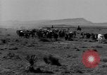 Immagine di I cowboys sul ranch United States USA, 1940, secondo 14 filmato di repertorio 65675052587