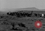 Immagine di I cowboys sul ranch United States USA, 1940, secondo 15 filmato di repertorio 65675052587