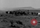 Immagine di I cowboys sul ranch United States USA, 1940, secondo 16 filmato di repertorio 65675052587