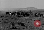 Immagine di I cowboys sul ranch United States USA, 1940, secondo 17 filmato di repertorio 65675052587