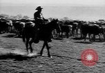 Immagine di I cowboys sul ranch United States USA, 1940, secondo 21 filmato di repertorio 65675052587