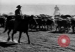 Immagine di I cowboys sul ranch United States USA, 1940, secondo 22 filmato di repertorio 65675052587