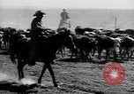 Immagine di I cowboys sul ranch United States USA, 1940, secondo 23 filmato di repertorio 65675052587