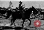 Immagine di I cowboys sul ranch United States USA, 1940, secondo 24 filmato di repertorio 65675052587