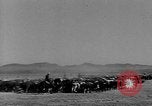 Immagine di I cowboys sul ranch United States USA, 1940, secondo 27 filmato di repertorio 65675052587