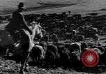 Immagine di I cowboys sul ranch United States USA, 1940, secondo 30 filmato di repertorio 65675052587