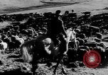Immagine di I cowboys sul ranch United States USA, 1940, secondo 31 filmato di repertorio 65675052587