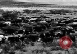 Immagine di I cowboys sul ranch United States USA, 1940, secondo 36 filmato di repertorio 65675052587
