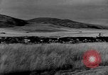 Immagine di I cowboys sul ranch United States USA, 1940, secondo 40 filmato di repertorio 65675052587