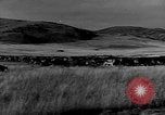 Immagine di I cowboys sul ranch United States USA, 1940, secondo 42 filmato di repertorio 65675052587