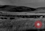 Immagine di I cowboys sul ranch United States USA, 1940, secondo 43 filmato di repertorio 65675052587