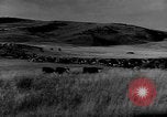 Immagine di I cowboys sul ranch United States USA, 1940, secondo 44 filmato di repertorio 65675052587